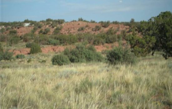 2.2 acres of Rural Vacant Land in Snowflake, AZ