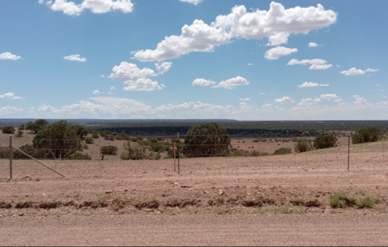 40.75 acres in Apache County, Arizona
